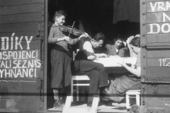 Těm šťastnějším se podařilo při útěku z pohraničí zajistit místo v železničním vagóně, takže si mohli odvézt i část svých věcí. Většina z vyhnanců ale takové štěstí neměla, utíkali jen s tím, co unesli v rukou. Na vagóně je jasně patrný vzkaz: „Díky vám spojenci, stali se z nás vyhnanci.“