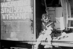 Těm šťastnějším se podařilo při útěku z pohraničí zajistit místo v železničním vagóně, takže si mohli odvézt i část svých věcí. Většina z vyhnanců ale takové štěstí neměla, utíkali jen s tím, co unesli v rukou. Na vagóně je jasně patrný vzkaz: „Díky vám spojenci, stali se z nás vyhnanci.“